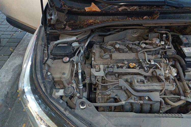 Used Toyota C-HR 2018 2.0L Coolway Leading Edition China V Standard Engine Bay Right