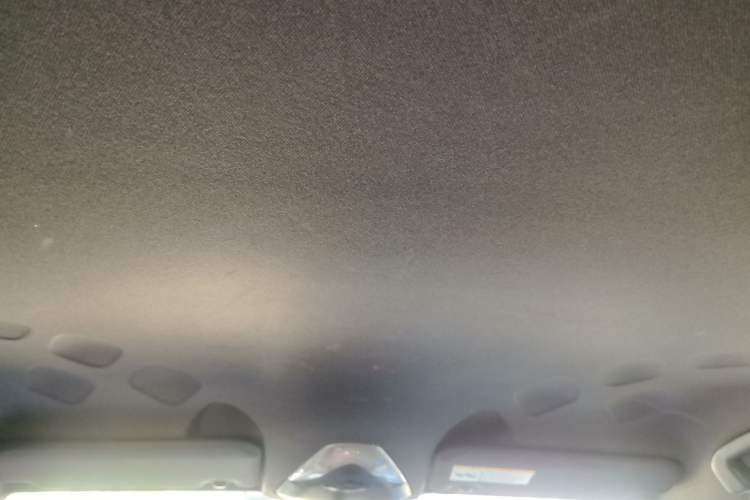 Used Toyota C-HR 2018 2.0L Leading Edition China V-standard Headliner