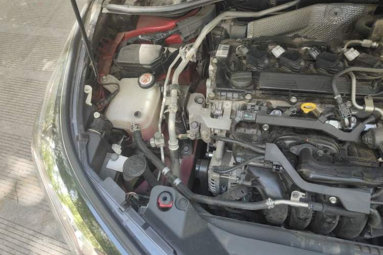 Used Toyota C-HR 2020 2.0L Leading Edition Engine Bay Right