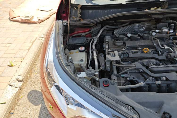 Used Toyota C-HR 2020 2.0L Comfort Edition Engine Bay Right