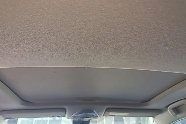 Used Toyota C-HR 2020 2.0L Leading Edition Headliner