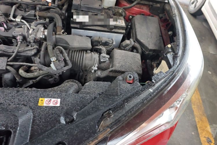 Used Toyota C-HR 2020 2.0L Leading Edition Engine Bay Left