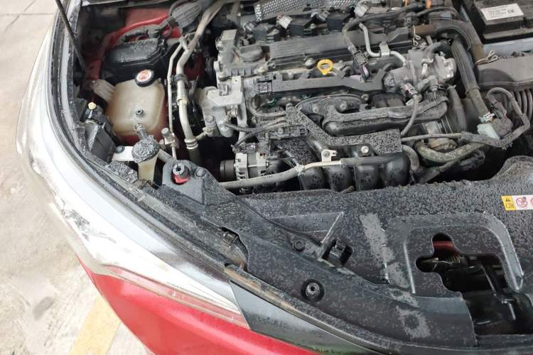 Used Toyota C-HR 2020 2.0L Leading Edition Engine Bay Right