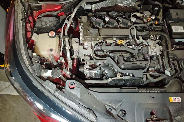 Used Toyota C-HR 2020 2.0L Leading Edition Engine Bay Right