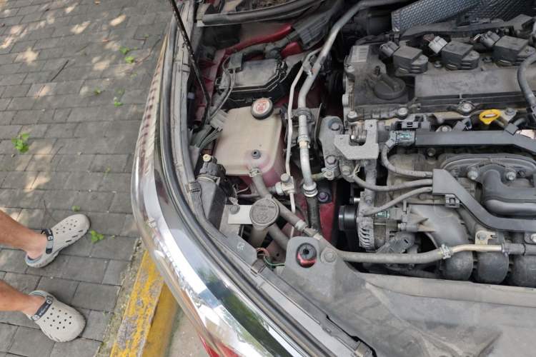 Used Toyota C-HR 2020 2.0L Leading Edition Engine Bay Right