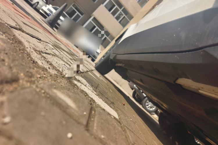 Used Toyota C-HR 2020 2.0L Leading Edition Chassis Front Right
