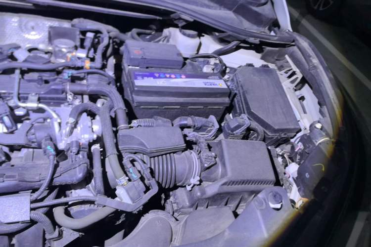 Used Toyota C-HR 2020 2.0L Leading Edition Engine Bay Left