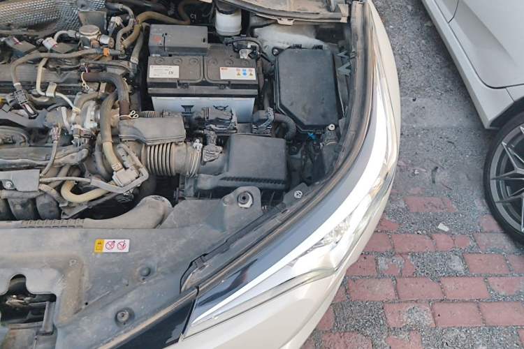 Used Toyota C-HR 2020 2.0L Leading Edition Engine Bay Left