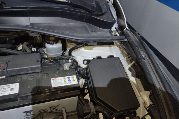 Used Toyota C-HR 2020 2.0L Leading Edition Engine Bay Left