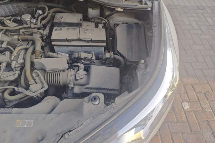 Used Toyota C-HR 2020 2.0L Leading Edition Engine Bay Left