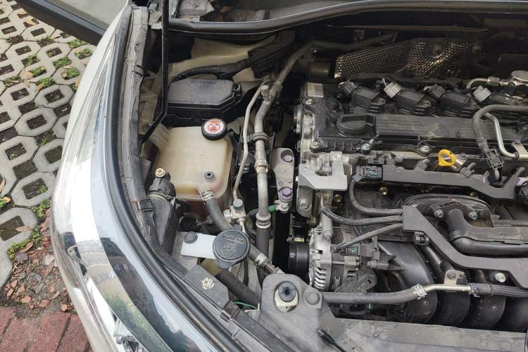 Used Toyota C-HR 2020 2.0L Leading Edition Engine Bay Right