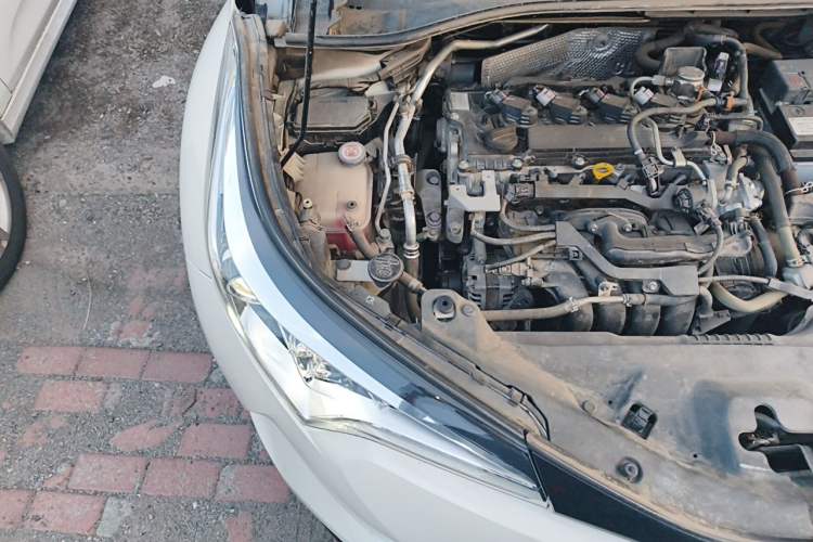 Used Toyota C-HR 2020 2.0L Leading Edition Engine Bay Right