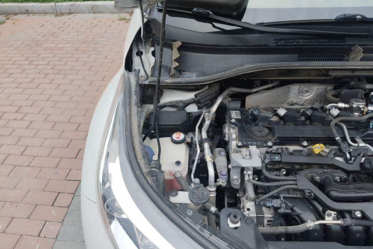 Used Toyota C-HR 2020 2.0L Leading Edition Engine Bay Right