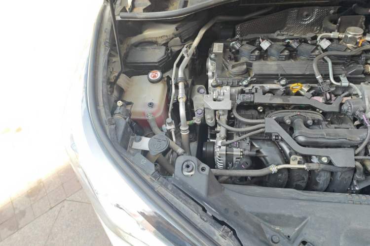 Used Toyota C-HR 2020 2.0L Leading Edition Engine Bay Right