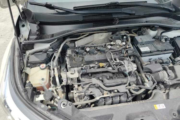 Used Toyota C-HR 2020 2.0L Leading Edition Engine Bay Right