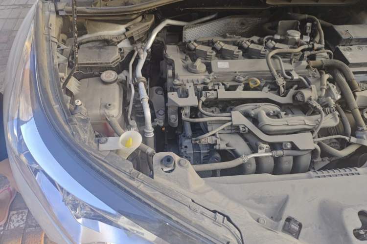 Used Toyota C-HR 2020 2.0L Leading Edition Engine Bay Right