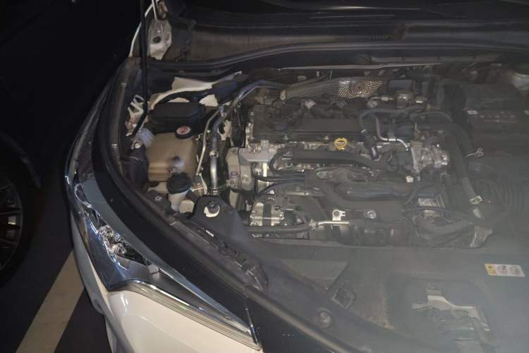 Used Toyota C-HR 2020 2.0L Leading Edition Engine Bay Right
