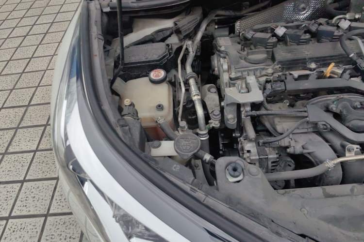 Used Toyota C-HR 2020 2.0L Leading Edition Engine Bay Right