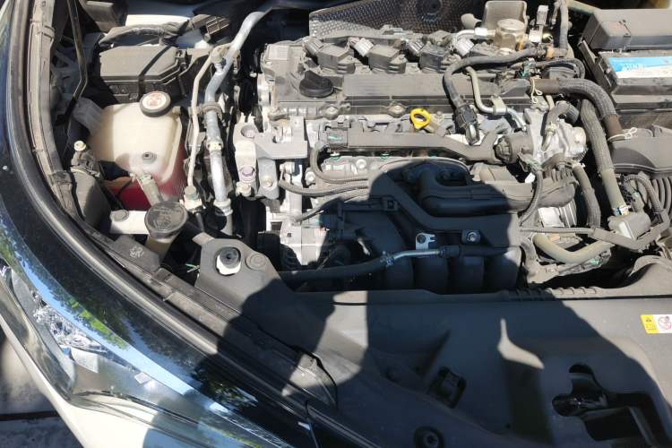 Used Toyota C-HR 2020 2.0L Leading Edition Engine Bay Right