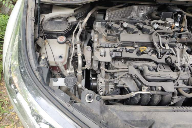 Used Toyota C-HR 2020 2.0L Leading Edition Engine Bay Right