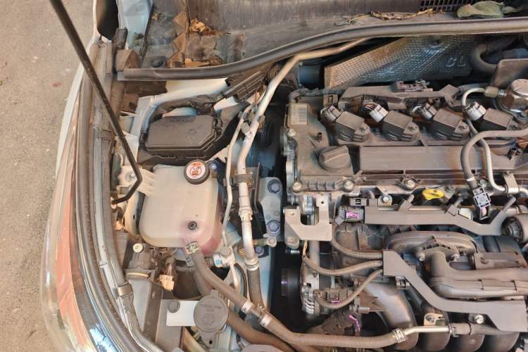 Used Toyota C-HR 2020 2.0L Leading Edition Engine Bay Right