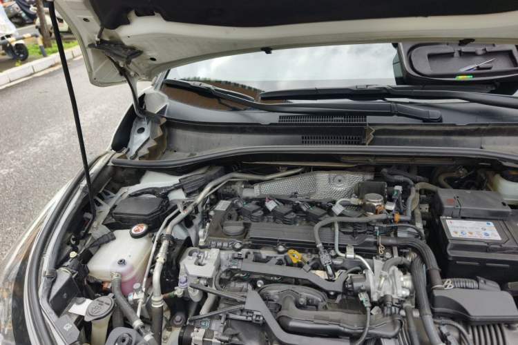 Used Toyota C-HR 2020 2.0L Leading Edition Engine Bay Right