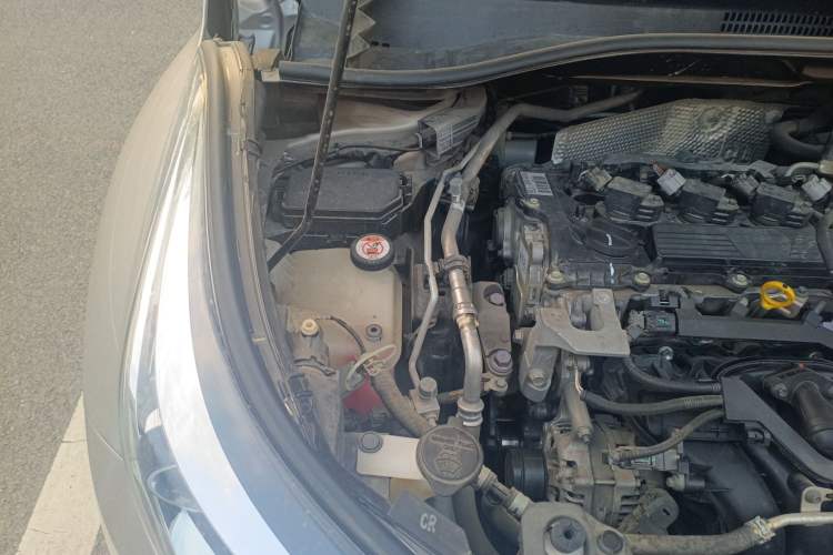 Used Toyota C-HR 2020 2.0L Leading Edition Engine Bay Right