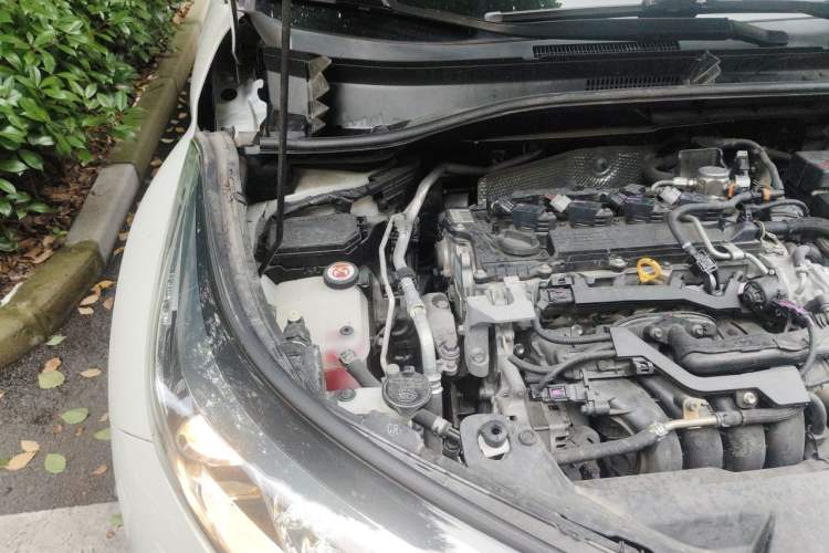Used Toyota C-HR 2020 2.0L Leading Edition Engine Bay Right