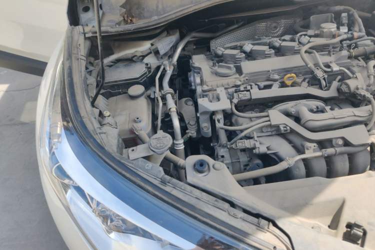 Used Toyota C-HR 2020 2.0L Leading Edition Engine Bay Right