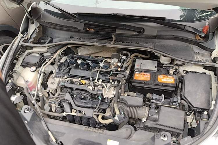 Used Toyota C-HR 2020 2.0L Comfort Edition Engine Bay