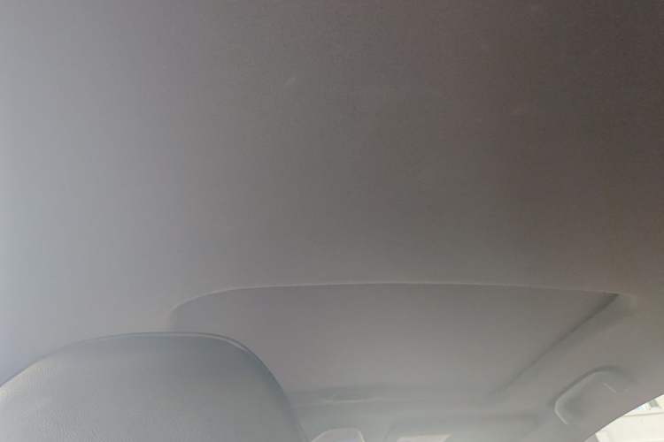 Used Toyota C-HR 2020 2.0L Leading Edition Headliner