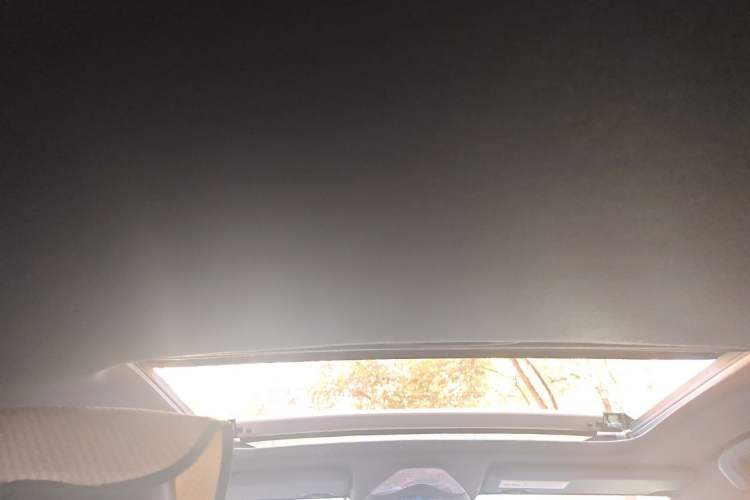 Used Toyota C-HR 2020 2.0L Leading Edition Headliner