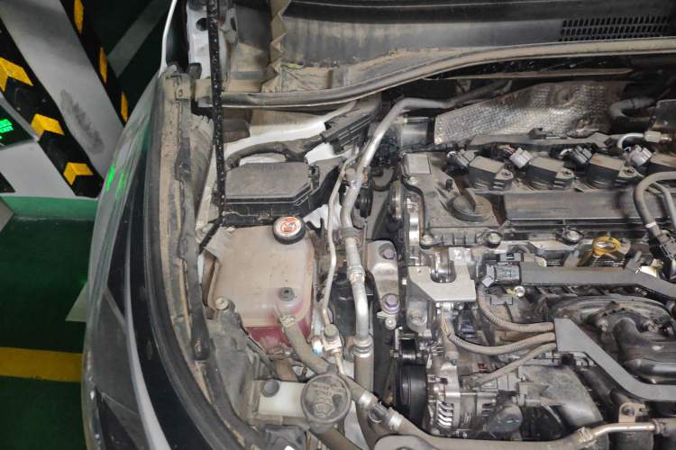 Used Toyota C-HR 2021 2.0L Luxury Edition Engine Bay Right