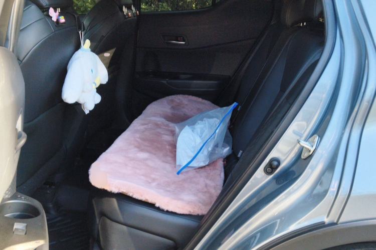 Used Toyota C-HR 2021 2.0L Luxury Edition Left Rear Seat