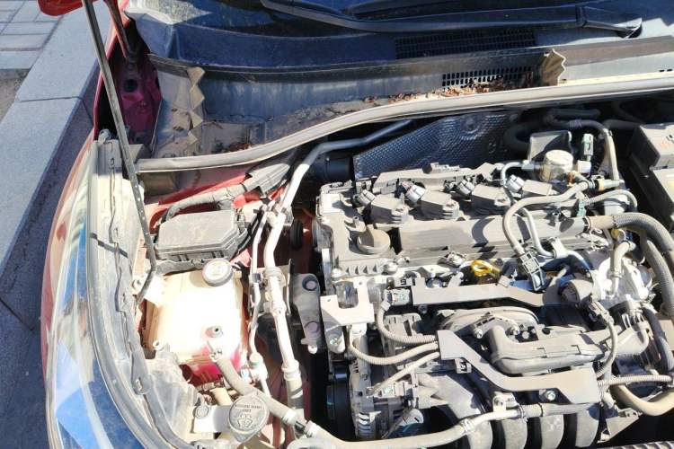Used Toyota C-HR 2021 2.0L Luxury Edition Engine Bay Right