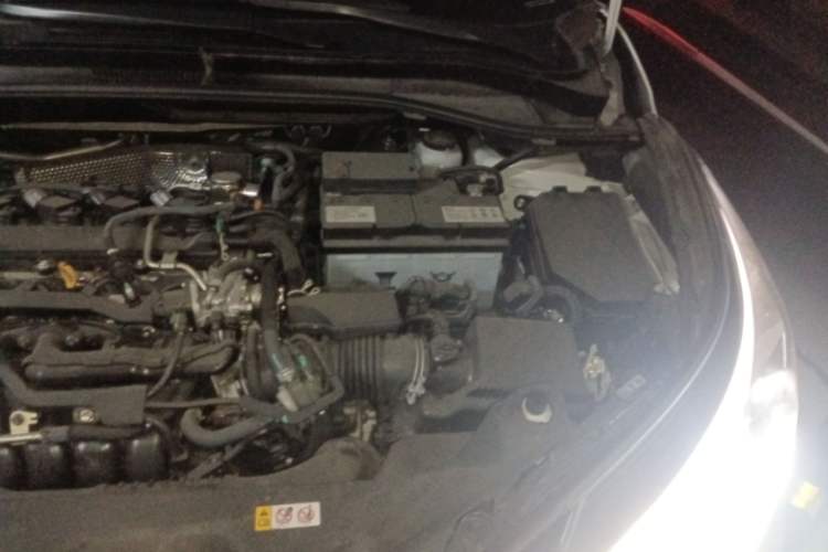 Used Toyota C-HR 2021 2.0L Luxury Edition Engine Bay Left