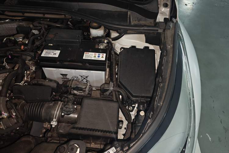 Used Toyota C-HR 2021 2.0L Comfort Edition Engine Bay Left