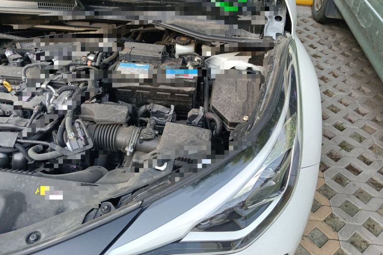 Used Toyota C-HR 2021 2.0L Luxury Edition Engine Bay Left