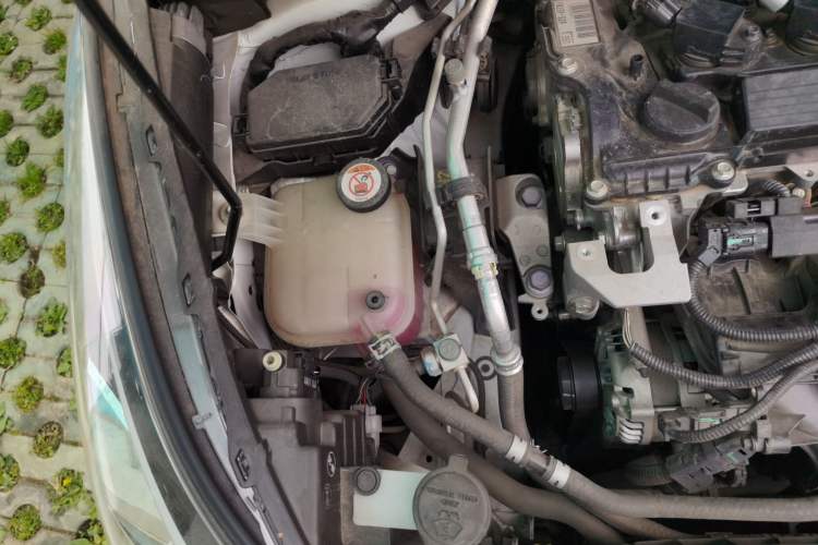 Used Toyota C-HR 2021 2.0L Luxury Edition Engine Bay Right