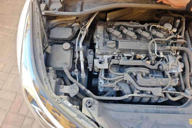 Used Toyota C-HR 2021 2.0L Luxury Edition Engine Bay Right