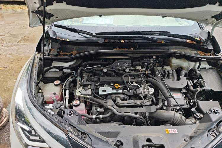 Used Toyota C-HR 2021 Dual-Motor 2.0L E-CVT Luxury Edition Engine Bay Right