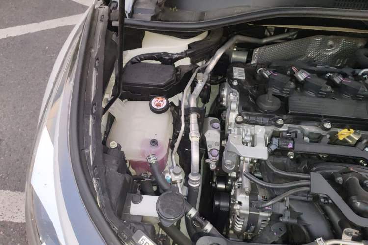 Used Toyota C-HR 2021 2.0L Luxury Edition Engine Bay Right