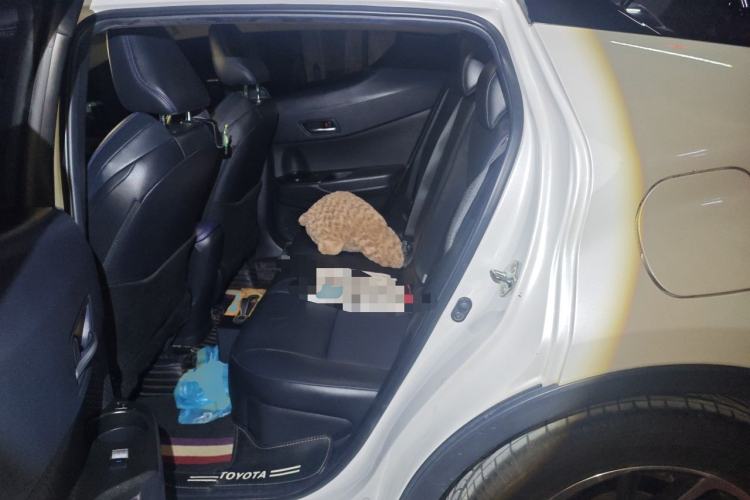 Used Toyota C-HR 2021 2.0L Luxury Edition Left Rear Seat
