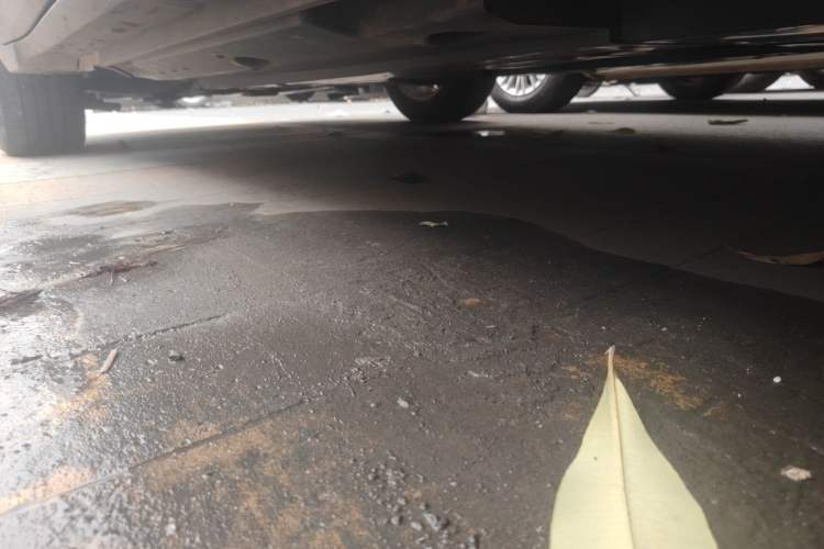 Used Toyota C-HR 2022 2.0L Leading Edition Chassis Rear Left