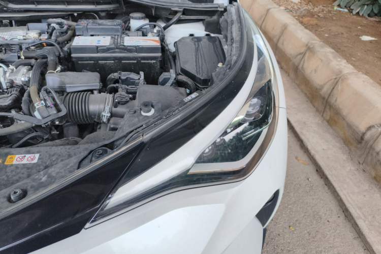 Used Toyota C-HR 2022 2.0L Leading Edition Engine Bay Left