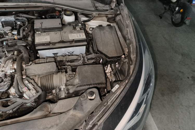 Used Toyota C-HR 2023 2.0L Luxury Edition Engine Bay Left