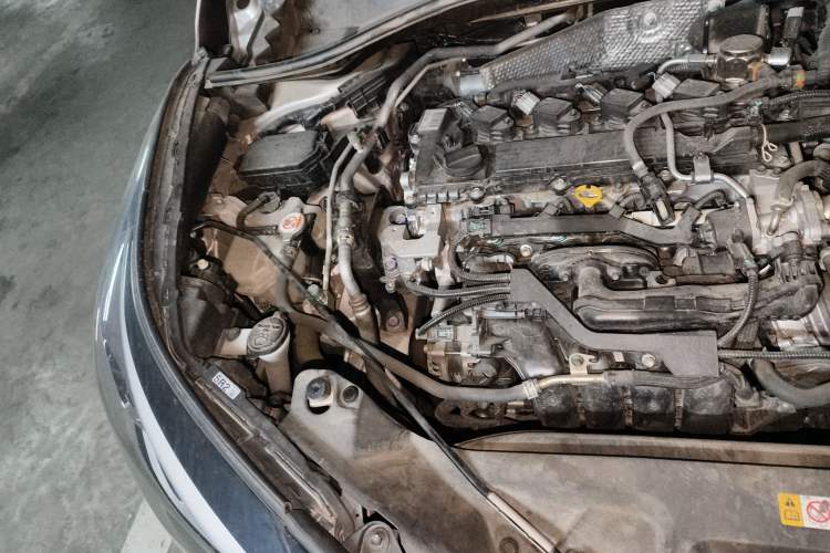 Used Toyota C-HR 2023 2.0L Luxury Edition Engine Bay Right