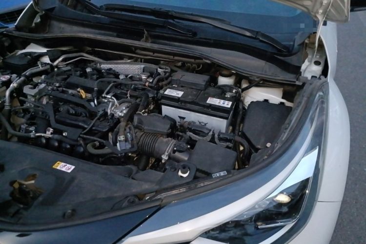 Used Toyota C-HR 2023 2.0L Luxury Edition Engine Bay Left