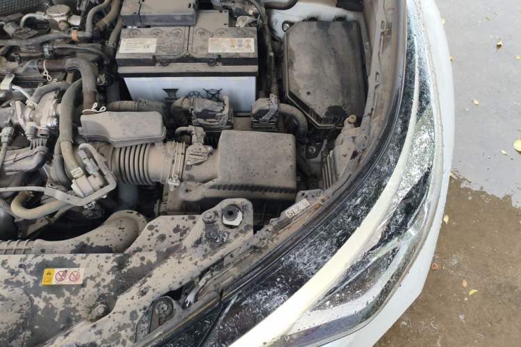 Used Toyota C-HR 2023 2.0L Leading Edition Engine Bay Left