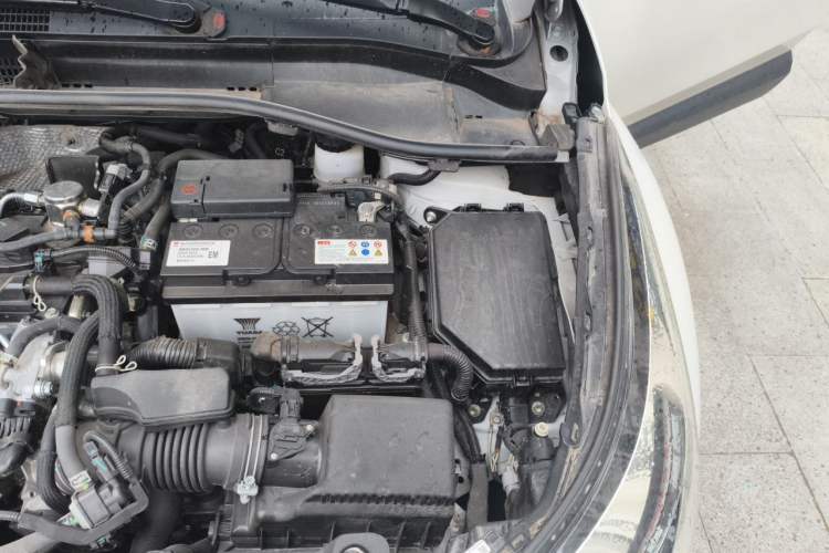 Used Toyota C-HR 2023 2.0L Leading Edition Engine Bay Left